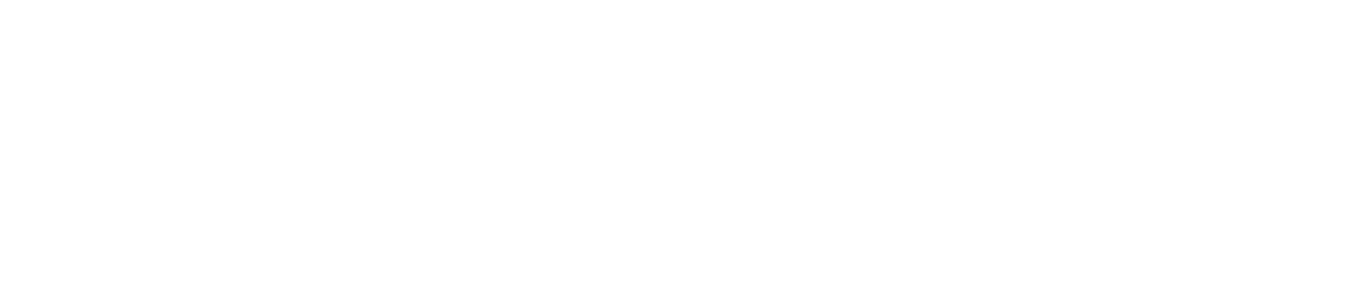 Link Consultora Logo Footer